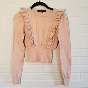 Forever 21 Cropped Sweater